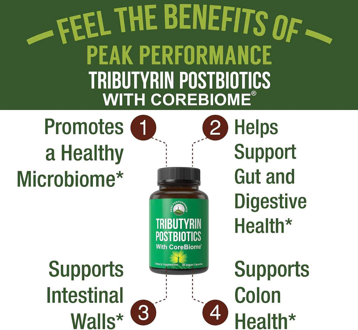 CoreBiome Tributyrin Postbiotic Supplement Clinically Tested for Gut Health. More Effective Than Sodium Butyrate Capsules. High Bioavailability Post Biotics for Digestive, Leaky Gut, Colon, Microbiome