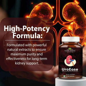 VEDIKROOTS UroEase - Ayurvedic Herbal Supplement for Kidney Health & Uric Acid Levels - Supports Urinary Tract Health - 60 Veg Capsules