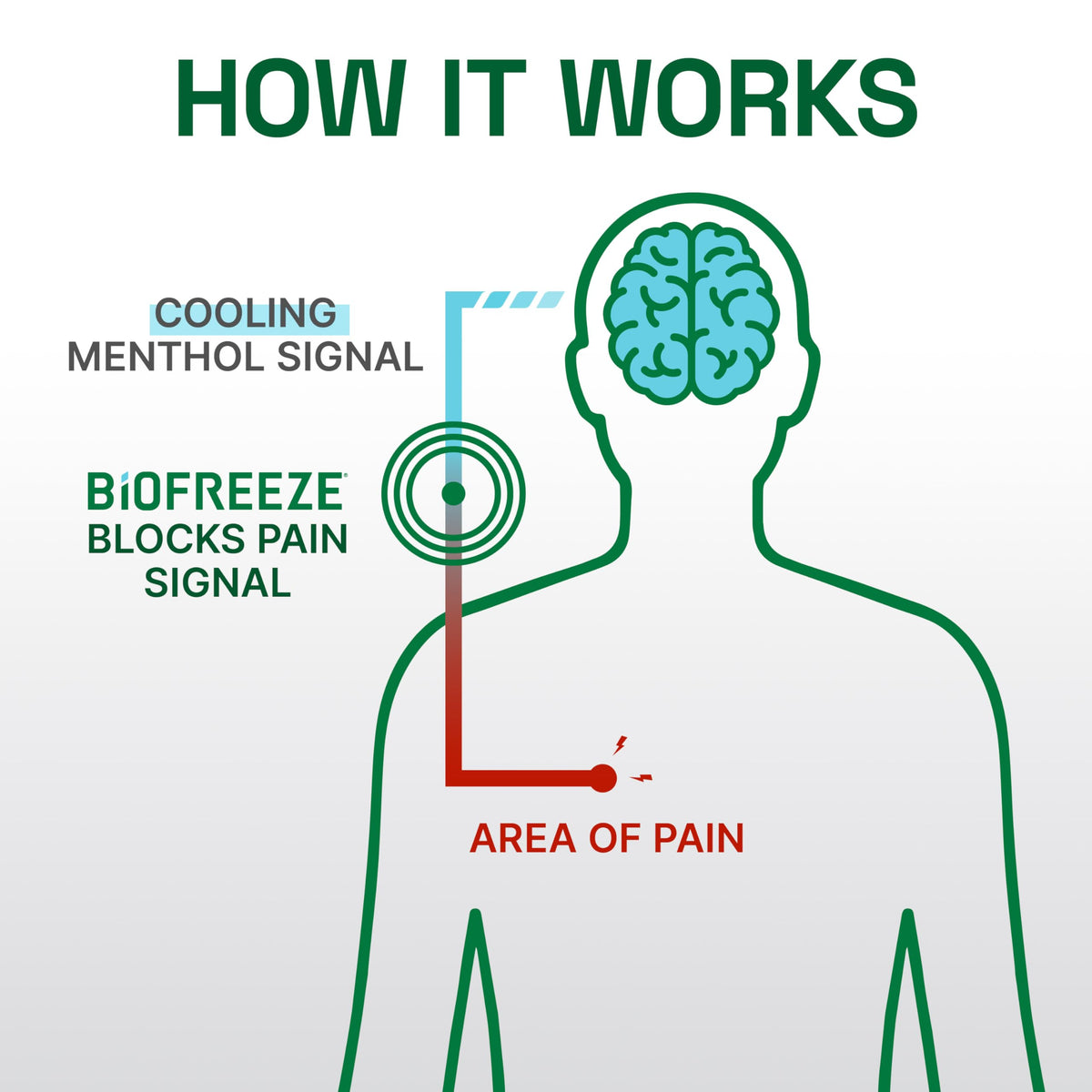 Biofreeze Professional Gel Pain Relief for Knee, Neck, Hip, Joint, Shoulder, & Simple Backache, Arthritis Pain Reliever, Sore Muscle Relief, Colorless Menthol Gel 32 Fl Oz