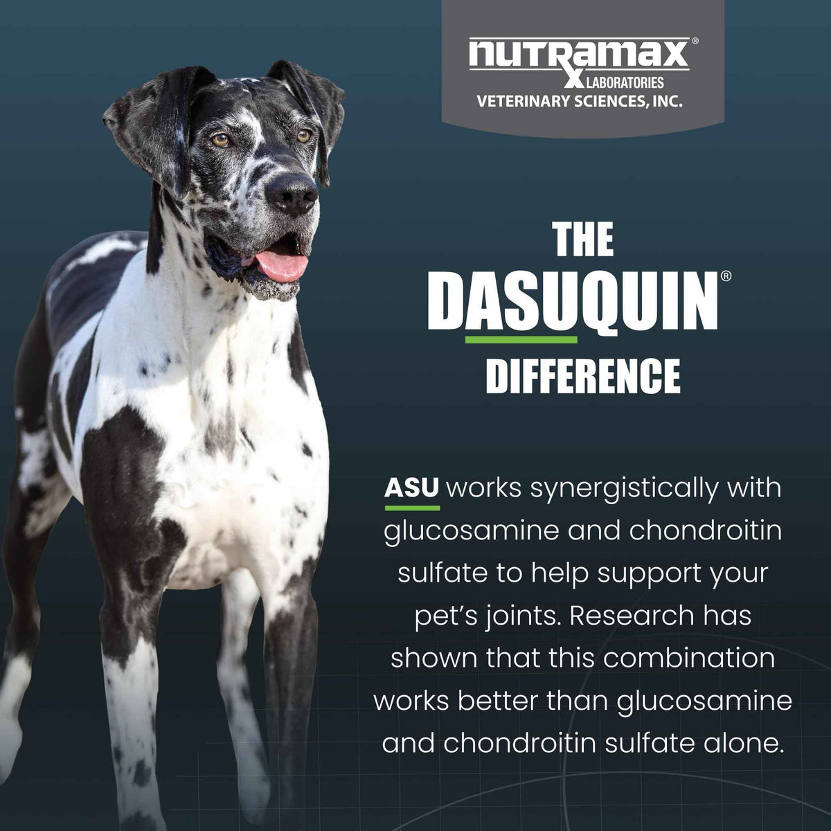 Nutramax Dasuquin for Large Dogs, Joint Health Supplement, Contains Glucosamine for Dogs, Plus Chondroitin, ASU, MSM and More, Supports Healthy Joints, Soft Chews, 150 Count