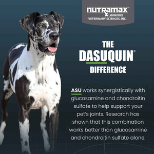Nutramax Dasuquin for Large Dogs, Joint Health Supplement, Contains Glucosamine for Dogs, Plus Chondroitin, ASU, MSM and More, Supports Healthy Joints, Soft Chews, 150 Count