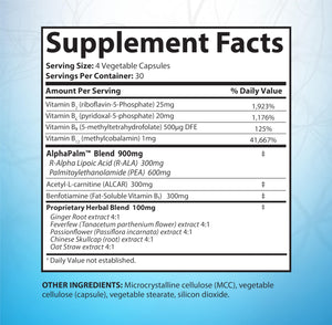 SciatiEase Sciatic Nerve Health Support Supplement - Nerve Support Formula with AlphaPalm, Pea, Vitamin B Complex, Alpha Lipoic Acid 300mg - 3 Bottles SciatiEaseBuy Supplements Australia