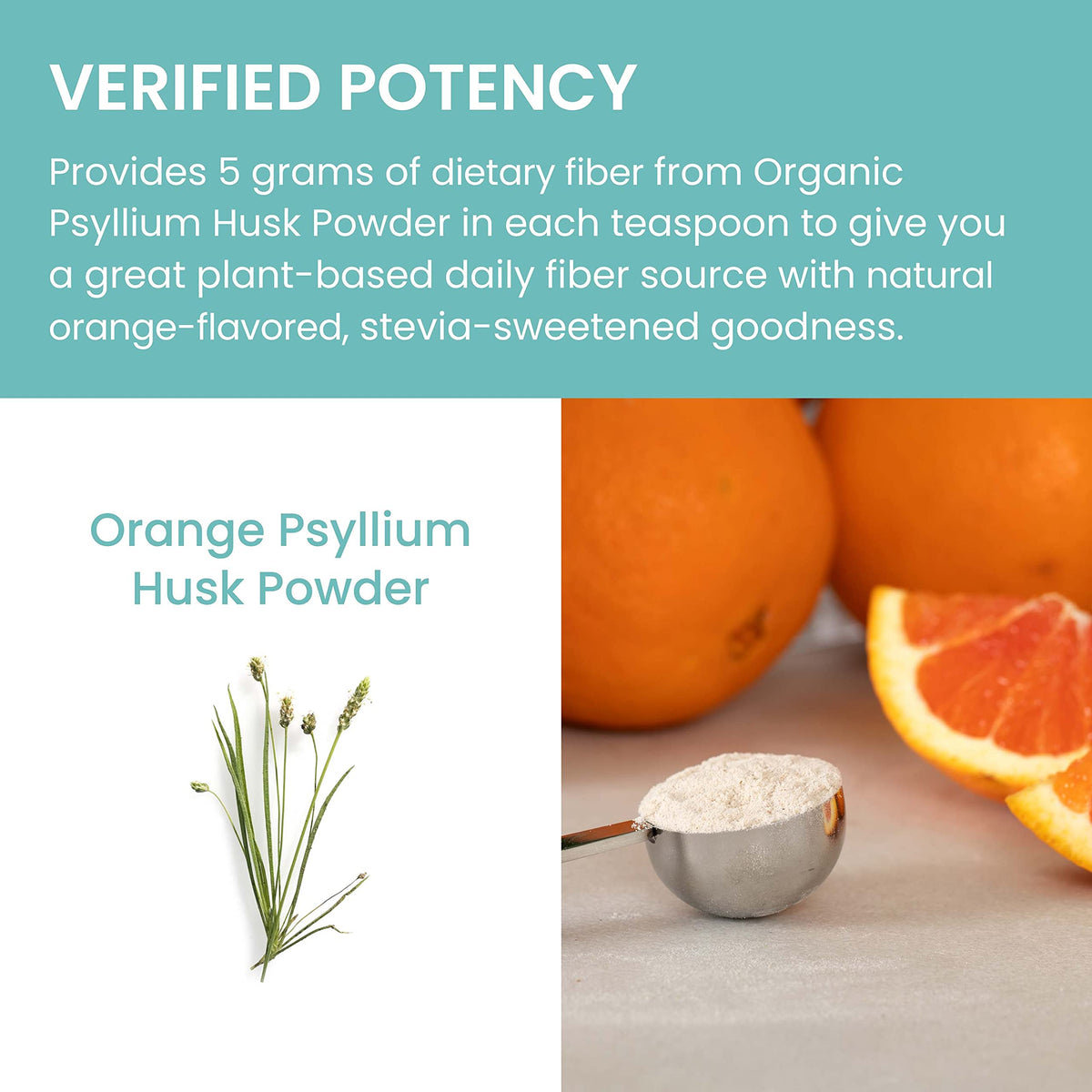 Himalaya Psyllium Husk Powder, Orange, 48 Servings - Daily Psyllium Fiber Supplement for Supporting Digestive Health and Regularity - Vegan, Non-GMO, Sugar Free, Gluten Free, 12 oz (340 g)