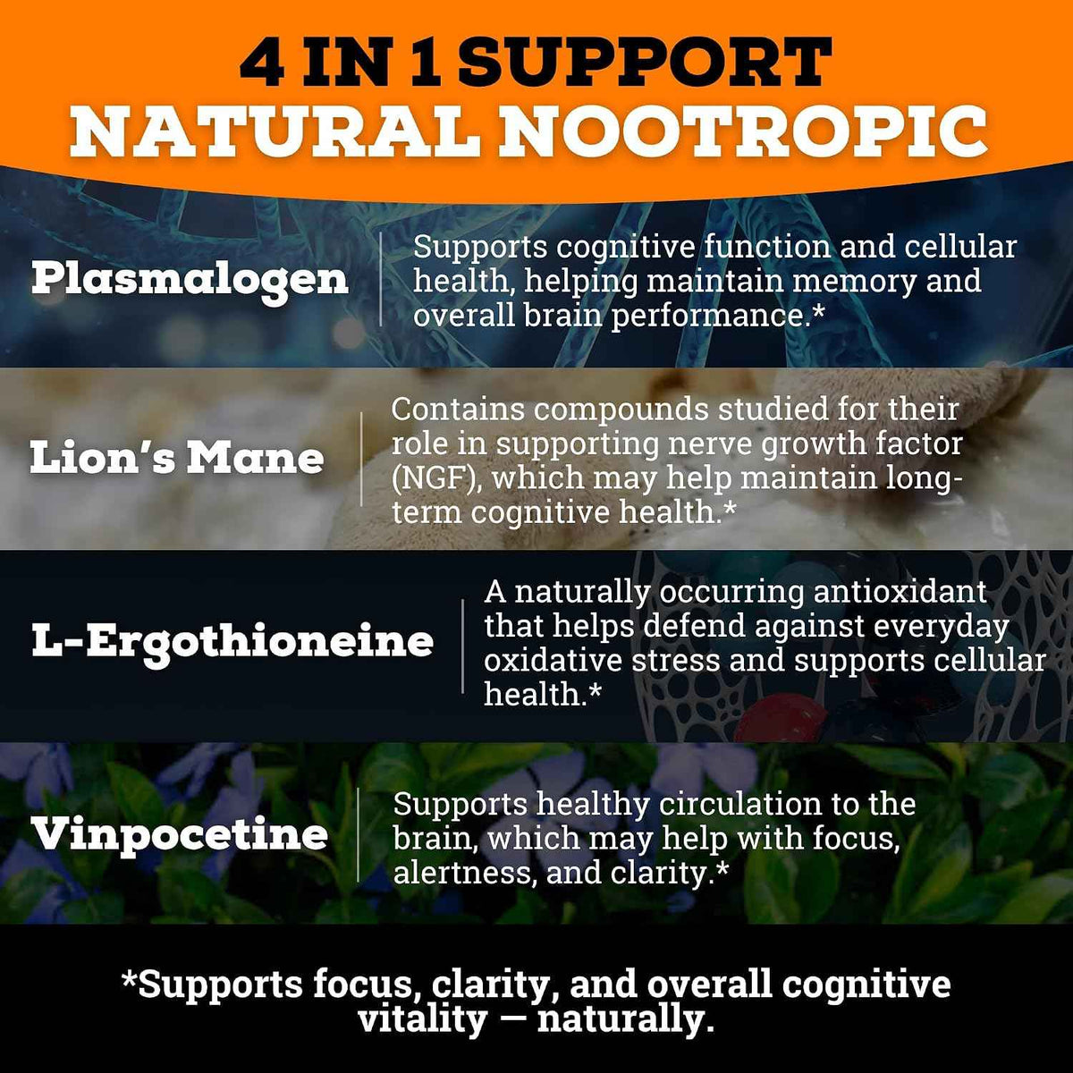 Brain Complex Addifocus Brain Supplements For Memory and Focus (Plasmalogen, Lions Mane, Vinpocetine 10mg & Ergothioneine) Memory Supplement for Brain, Brain Defender Supplement, Brain Health