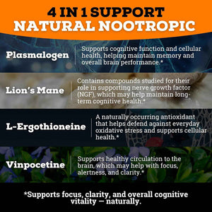 Brain Complex Addifocus Brain Supplements For Memory and Focus (Plasmalogen, Lions Mane, Vinpocetine 10mg & Ergothioneine) Memory Supplement for Brain, Brain Defender Supplement, Brain Health