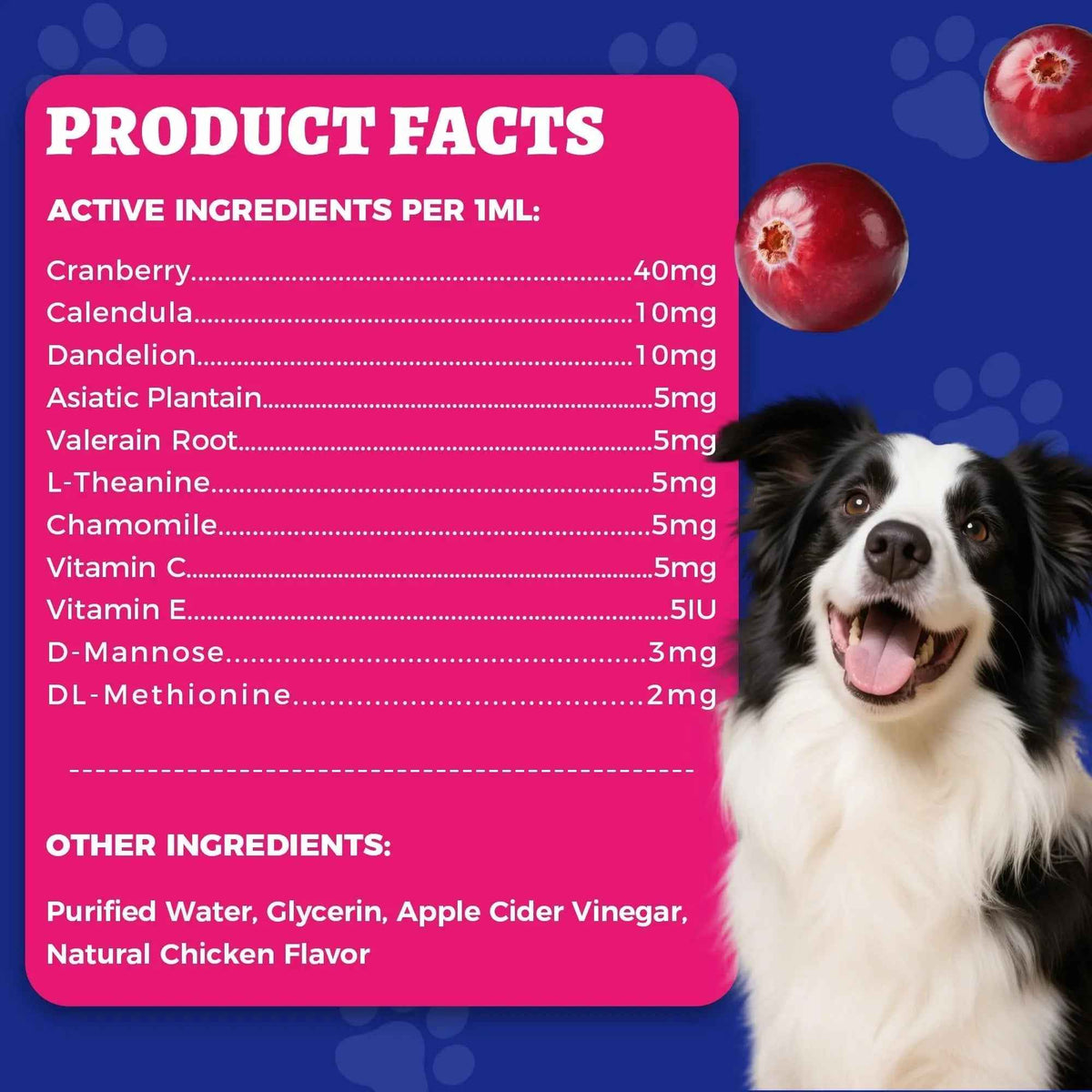 4oz Wellix Natural Cat & Dog UTI Treatment Drops,Cat & Dog Urinary Tract Infection Treatment - Cranberry & D-Mannose for Dogs & Cats - Kidney Health Supplement