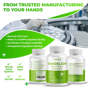 Dandelion Milk Thistle Artichoke Burdock Turmeric - Support Liver Health, Support Digestive Aid