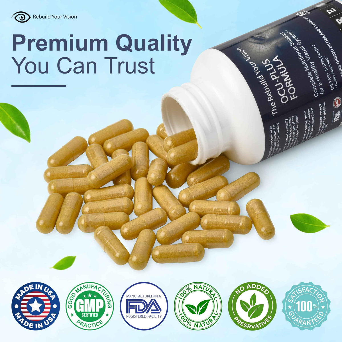 Rebuild Your Vision Ocu-Plus Formula - Eye Health Supplement with Lutein & Zeaxanthin - Supports Visual Clarity, Night Vision & Macular Health - with Bilberry, Ginkgo Biloba & NAC - 60 Capsules