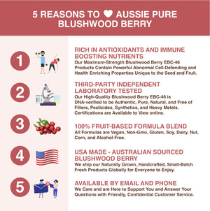 Aussie Pure Blushwood Berry Powder EBC-46 - Maximum Strength Immune and Cell Support - Contains The Fruit and Seed - 180g/6.4oz Per Container Aussie PureBuy Supplements Australia