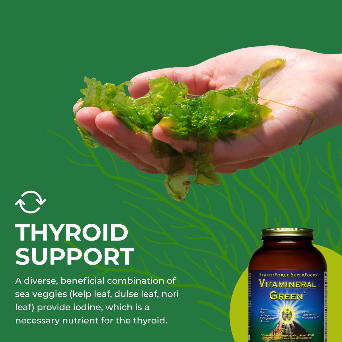 HEALTHFORCE SUPERFOODS Vitamineral Green - Mineral Supplement for Immune & Thyroid Support - Green Powder Supplement with Ingredients from The Land - Gluten-Free & Vegan - 500 Grams