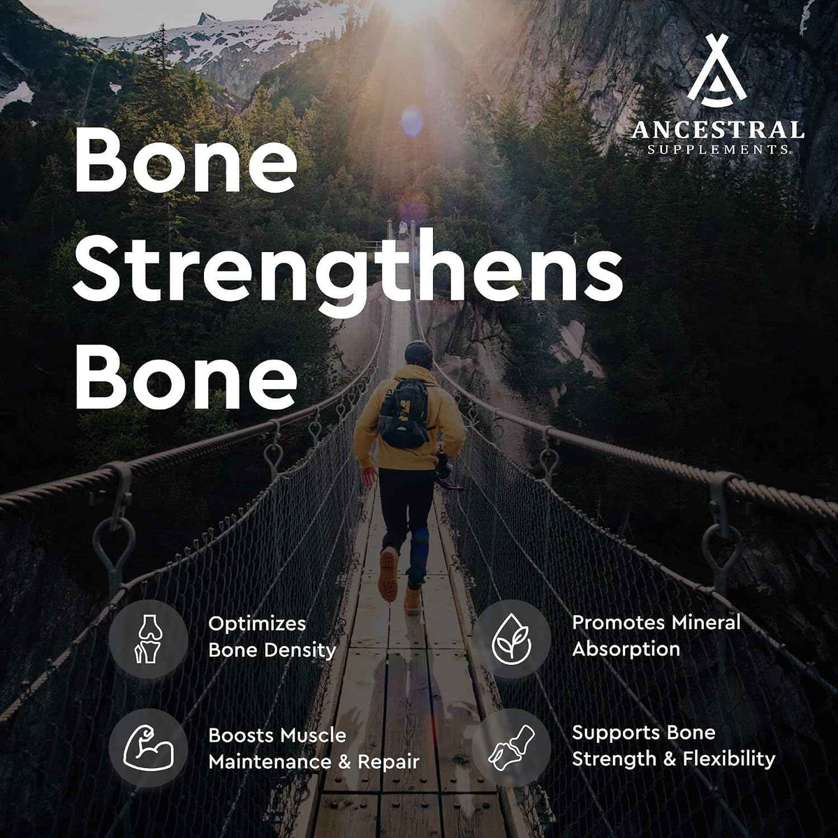 Ancestral Supplements Grass Fed Beef Living Bone Supplement, 180 Ct - Grassfed bone meal capsule supporting calcium and phosphorus absorption, bone, oral and joint health & flexibility.