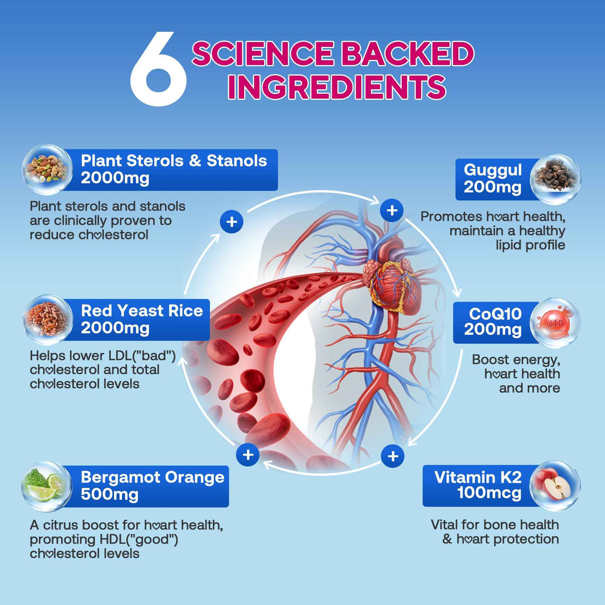 Cholesterol Lowering Supplements Gummies, Cholesterol Gummies with Plant Sterols & Stanols, Red Yeast Rice, Lower Cholesterol Naturally - Vegan, Non-GMO, Mixed Berry Flavor, 90Ct