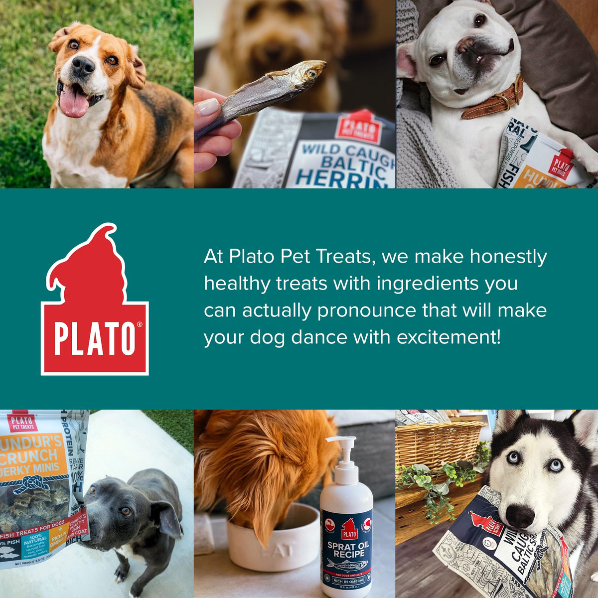 Plato Single Ingredient Wild-Caught Baltic Herring Dog - 8.5 oz