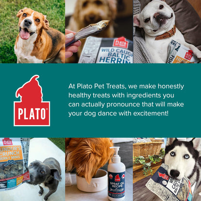 Plato Single Ingredient Wild-Caught Baltic Herring Dog - 8.5 oz