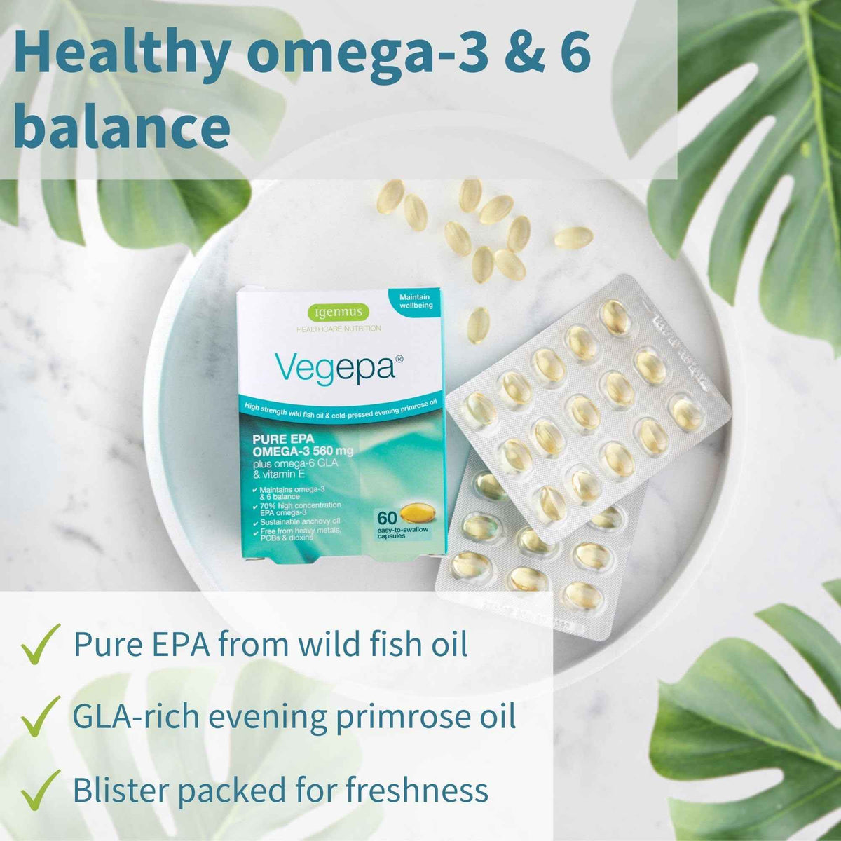 Igennus Vegepa Omega 3 Wild Fish Oil & Evening Primrose Oil Blend, 560 mg EPA Plus GLA, 60 Small Softgels