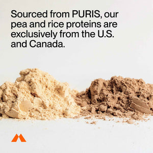 Momentous Vegan Protein Powder - 20 g Plant-Based Protein - NSF Certified for Sport - Gluten-Free - Non-GMO - 22 Servings for Essential Everyday Use - Chocolate
