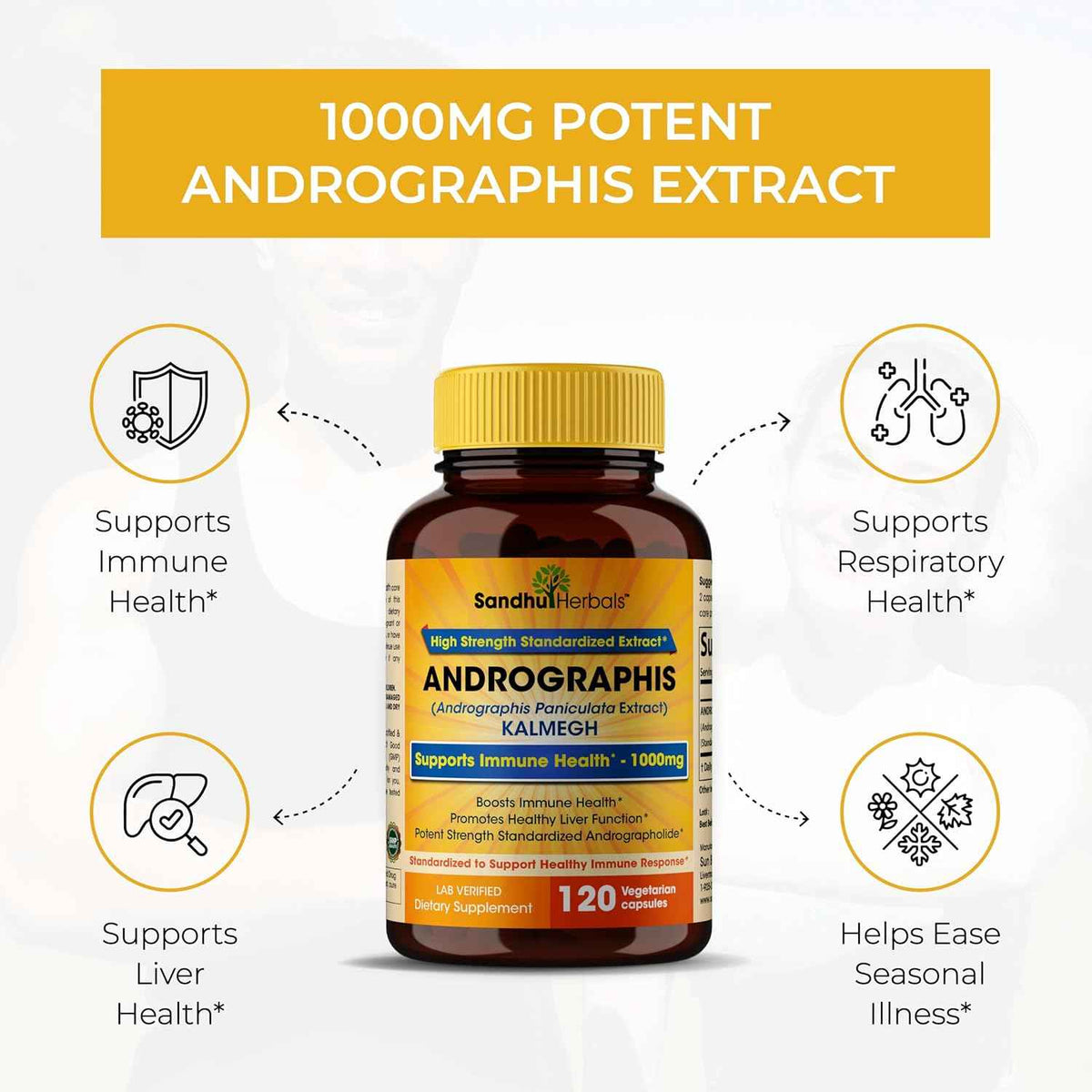 Andrographis Paniculata Kalmegh for Immune and Liver Health Support - 120 Vegetarian Capsules, 2 Months Supply - Ayurvedic Herbal Vegetarian Supplement Complex