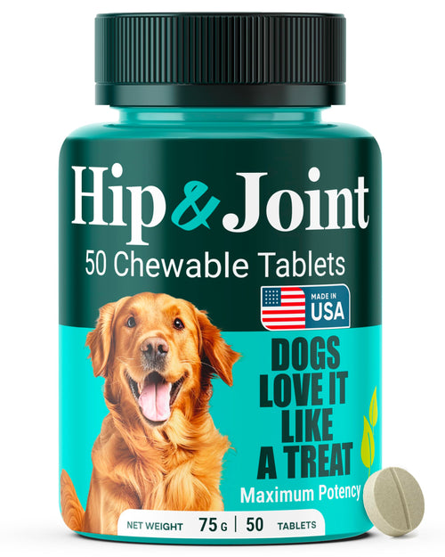 Natureflow Hip & Joint Supplement for Dogs, 300mg Green-Lipped Mussel for Dog Arthritis Pain Relief, Glucosamine, MSM & Chondroitin, Zero Sugar, Large Medium Small Breeds, 50 Chewable Tablets