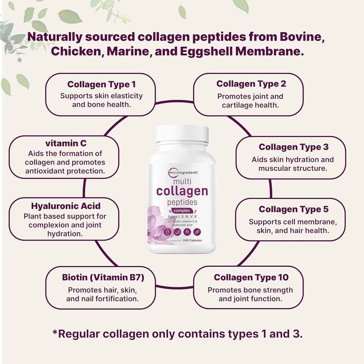 Micro Ingredients 8-in-1 Multi Collagen Pills & Mega Probiotics 200 Billion CFU Veggie Capsules - 2 Pack Bundle - Hydrolyzed Peptides + Hyaluronic Acid & Vitamin C - 40 Strains + Inulin & Bromelain