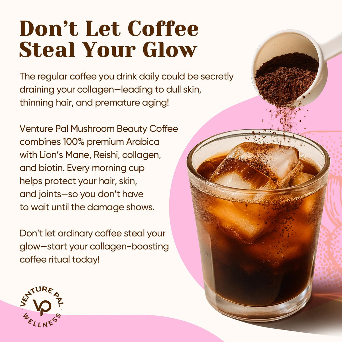 Venture Pal Mushroom Coffee, 12 Mushrooms, Focus & Digestion, 40 Servings - 12 Adaptogenic Mushrooms with Lion's Mane, Cordyceps, Reishi, Turkey Tail, Ashwagandha & Probiotics, Low Caffeine & Calories