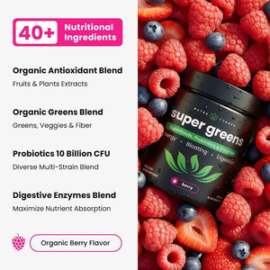 SuperGreens Powder, 40+ Organic Superfoods, Probiotics & Enzymes for Energy, Digestion, Gut Health & Bloating - Organic Fruit & Veggie Drink Mix, Daily Green Juice Smoothie Blend, Spinach, Noni Plus