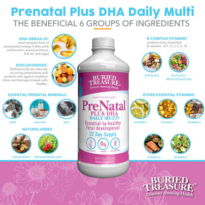 Buried Treasure Prenatal Plus DHA Complete, 16 oz, Natural DHA Omega3 Iron
