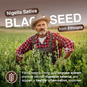 Resilia Ethiopian Black Seed Softgels 1000mg Per Serving - Premium Nigella Sativa Seed Oil Supplement - Digestive & Immune Support Formula - Easy to Swallow Soft Capsules 120 Count (Pack 2)