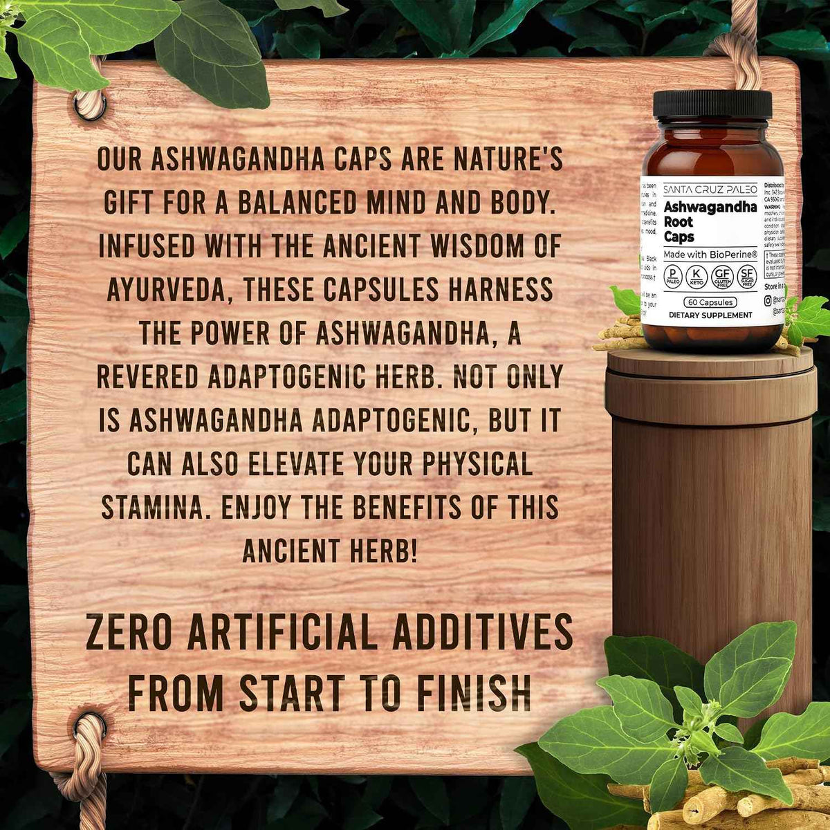 Santa Cruz Paleo Ashwagandha Capsules, 600mg Ashwagandha Root per Capsule, Gluten Free, Keto, Sugar Free, Paleo, Supports Energy, Focus, and Relaxation, BioPerine for Fast Absorption, 60 Capsules
