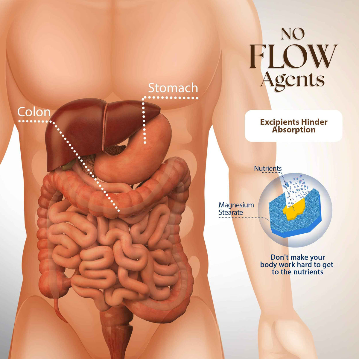 Dr. Clark Inulin Powder (FOS) - Prebiotic Soluble Fiber for Gut Health, 300g - Supports Digestive Health & Regularity