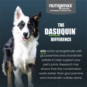 Nutramax Dasuquin for Small to Medium Dogs, Joint Health Supplement, Contains Glucosamine for Dogs, Plus Chondroitin, ASU and More, Supports Healthy Joints, Chewable Tablets, 150 Count Nutramax LaboratoriesBuy Supplements Australia