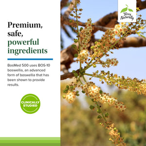 Terry Naturally BosMed 500 Extra Strength - Boswellia Serrata Extract Supplement - Supplement for Healthy Lung Support - Herbal Supplement Formula with High Levels of AKBA - 120 Softgels Terry NaturallyBuy Supplements Australia