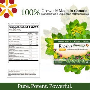 Immune Support, Energy Booster with Vitamin C, D3 and Zinc Supplement, Rhodiola Rosea, Reishi Mushroom Extract, Astragalus, Overall Wellness and Daily Habit - 60 Capsules Rhoziva buy supplements Au