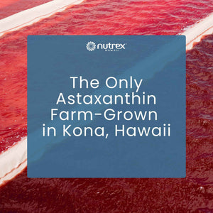 Nutrex Hawaii BioAstin Hawaiian Astaxanthin - 12mg, 90 Softgels - Farm-Direct Premium Antioxidant Supplement to Support Eye, Skin