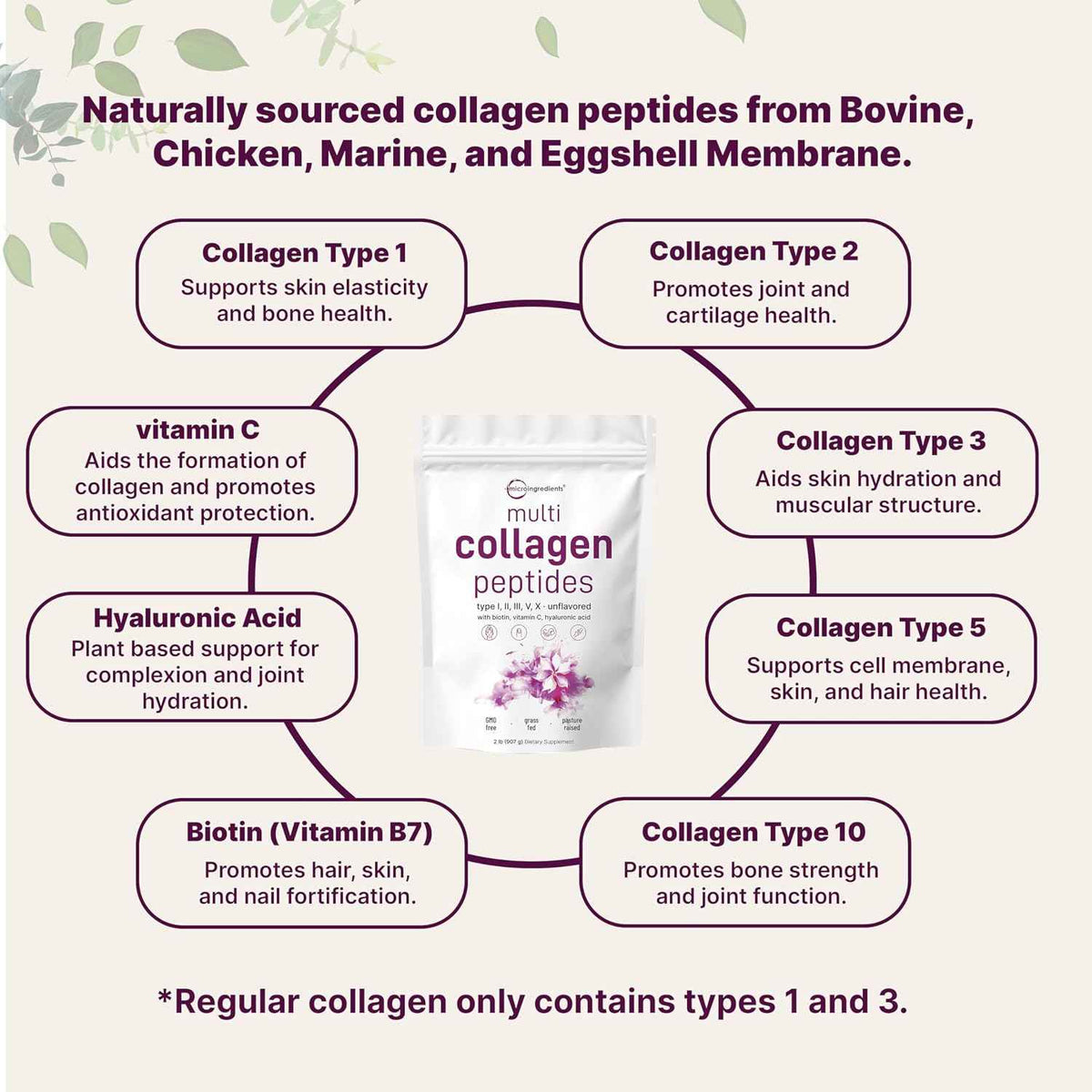 Micro Ingredients 8-in-1 Multi Collagen Powder & Women’s Probiotics 100 Billion CFU Veggie Capsules - 2 Pack - Hydrolyzed Peptides + Hyaluronic Acid & Vitamin C - 40 Strains + Cranberry & D-Mannose