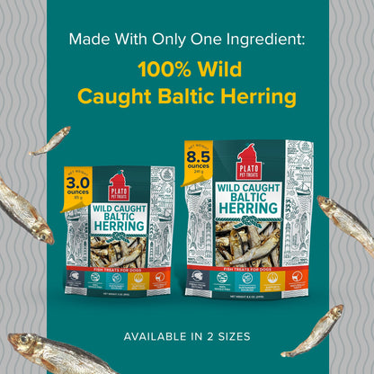 Plato Single Ingredient Wild-Caught Baltic Herring Dog - 8.5 oz