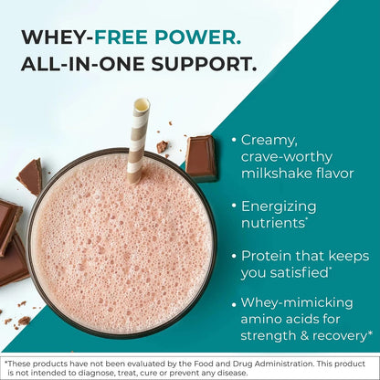 Reignite Wellness by JJ Virgin - Chocolate Bone Broth All-in-One Shake - Gluten Free + Dairy Free Protein Powder - Contains 20G of Beef Protein with Vitamins, Minerals, Amino Acids - 30 Servings