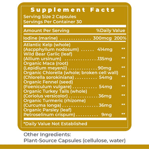 Premier Research Labs ThyroVen - Thyroid Support for Women, Thyroid Support for Men, Thyroid Supplement, Thyroid Support Complex with Naturally-Sourced Iodine - 60 Capsules Premier Research LabsBuy Supplements Australia