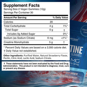 WELLNESS LABSRX Creatine Gummies 5000mg - Magnesium Glycinate Gummies 1000 mg - Bundle