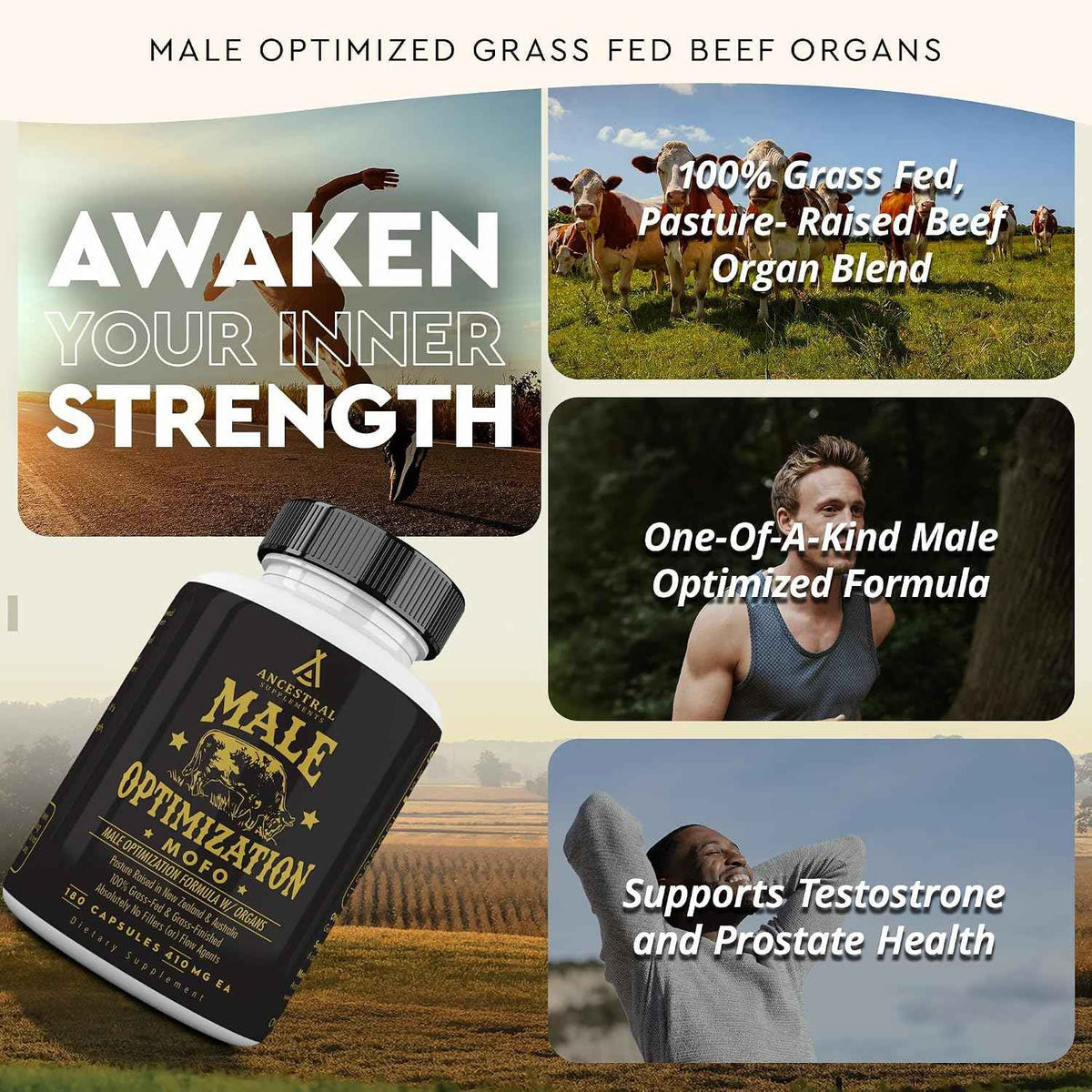 Ancestral Supplements Beef Liver & Mofo Bundle for Men - Supports Energy, Strength, Hormone Health & Vitality - Grass Fed, Pasture Raised Beef Organ Multivitamin with Targeted Nutrients
