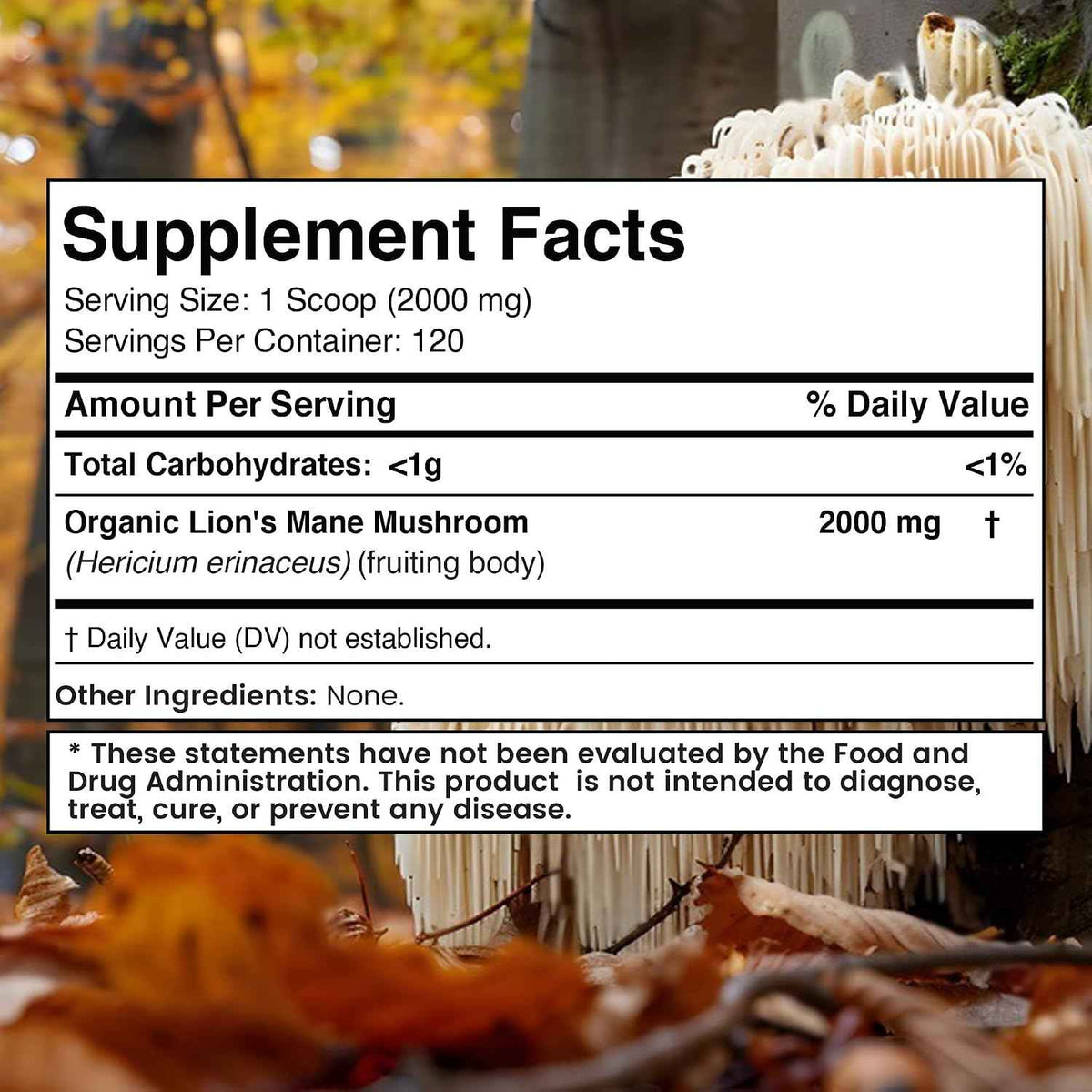 WELLNESS LABSRX Lions Mane Powder 2000mg - Mushroom Coffee Blend - Bundle