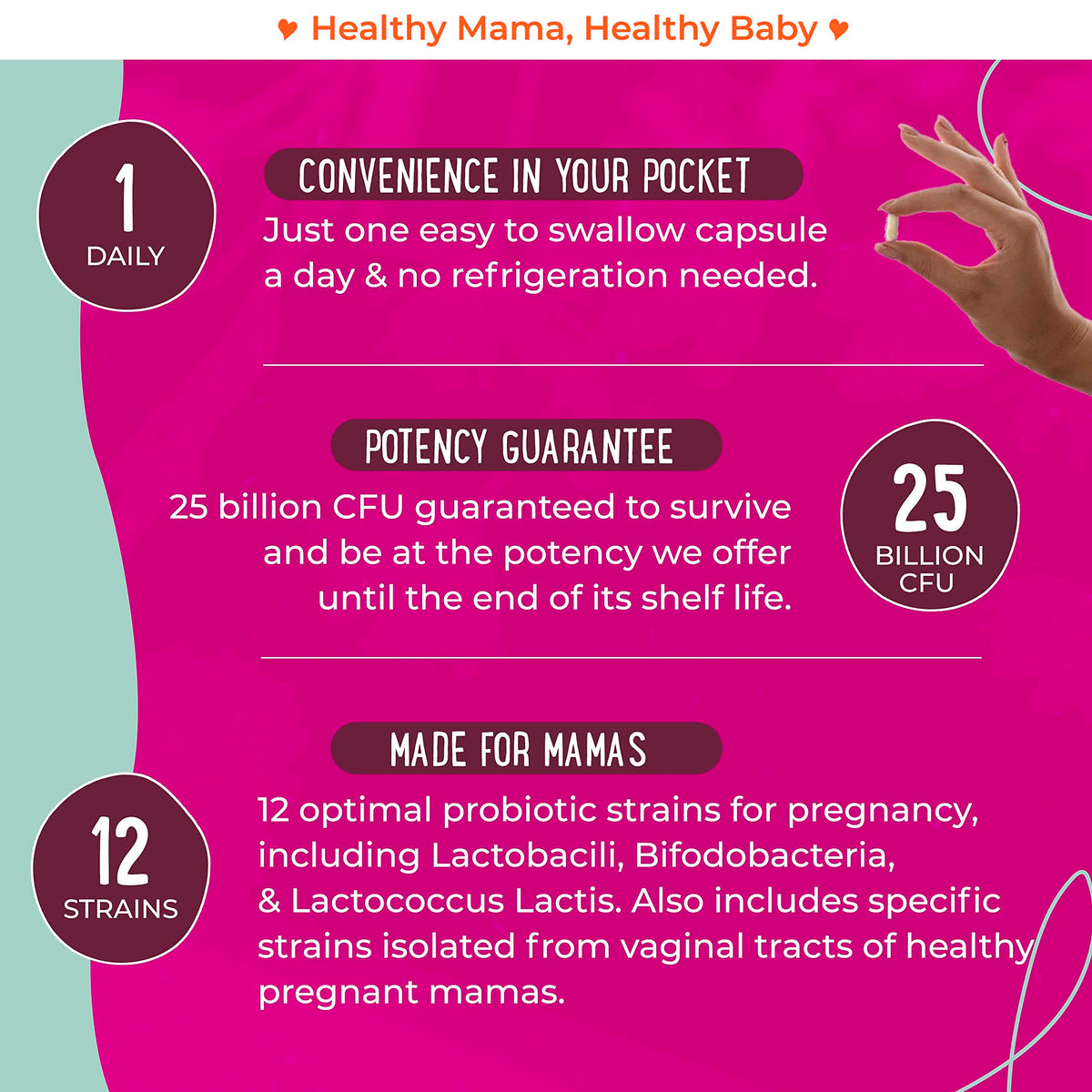 Premium Prenatal Bundle of 2 - Organic Prenatal Multi & Natural Probiotics - Essential Nutrition for Women
