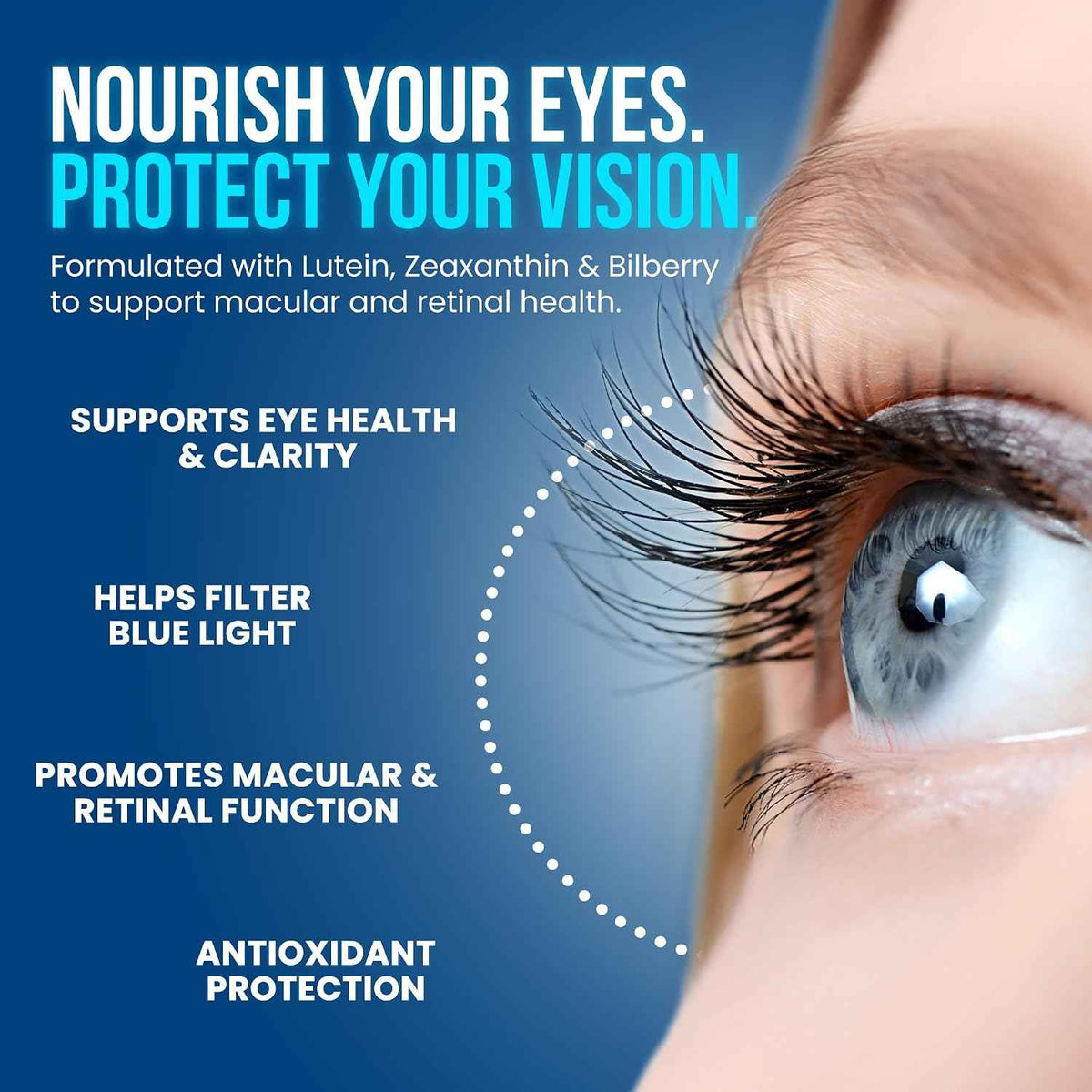 OmniBiotics Vision Clarity Eye Vitamin and Mineral Supplement - Bilberry, Lutein and Zeaxanthin Macular Health Supplement for Adults - 60 Vegan Capsules
