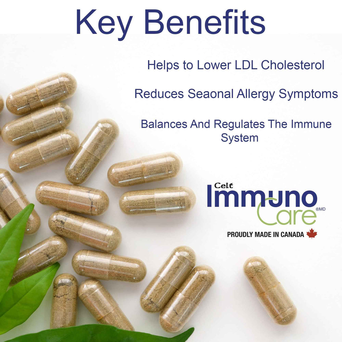 Celt Immunocare 60 v-caps - Potent Seasonal Allergy Blend - Adult Immunity Support - Cholesterol Modulator - Plant Sterols Ultra Strength - 7 Key Immunity Enhancing Ingredients