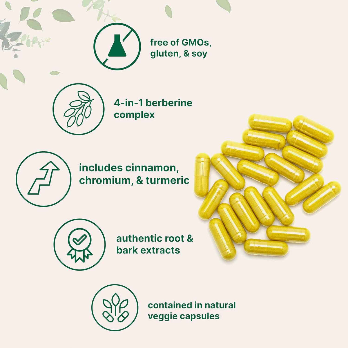 Micro Ingredients Berberine with Ceylon Cinnamon, 240 Veggie Capsules - High Absorption Berberine HCI Supplement + Turmeric Root & Cinnamon Bark Extract - Non-GMO, Gluten Free