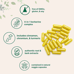 Micro Ingredients Berberine with Ceylon Cinnamon, 240 Veggie Capsules - High Absorption Berberine HCI Supplement + Turmeric Root & Cinnamon Bark Extract - Non-GMO, Gluten Free