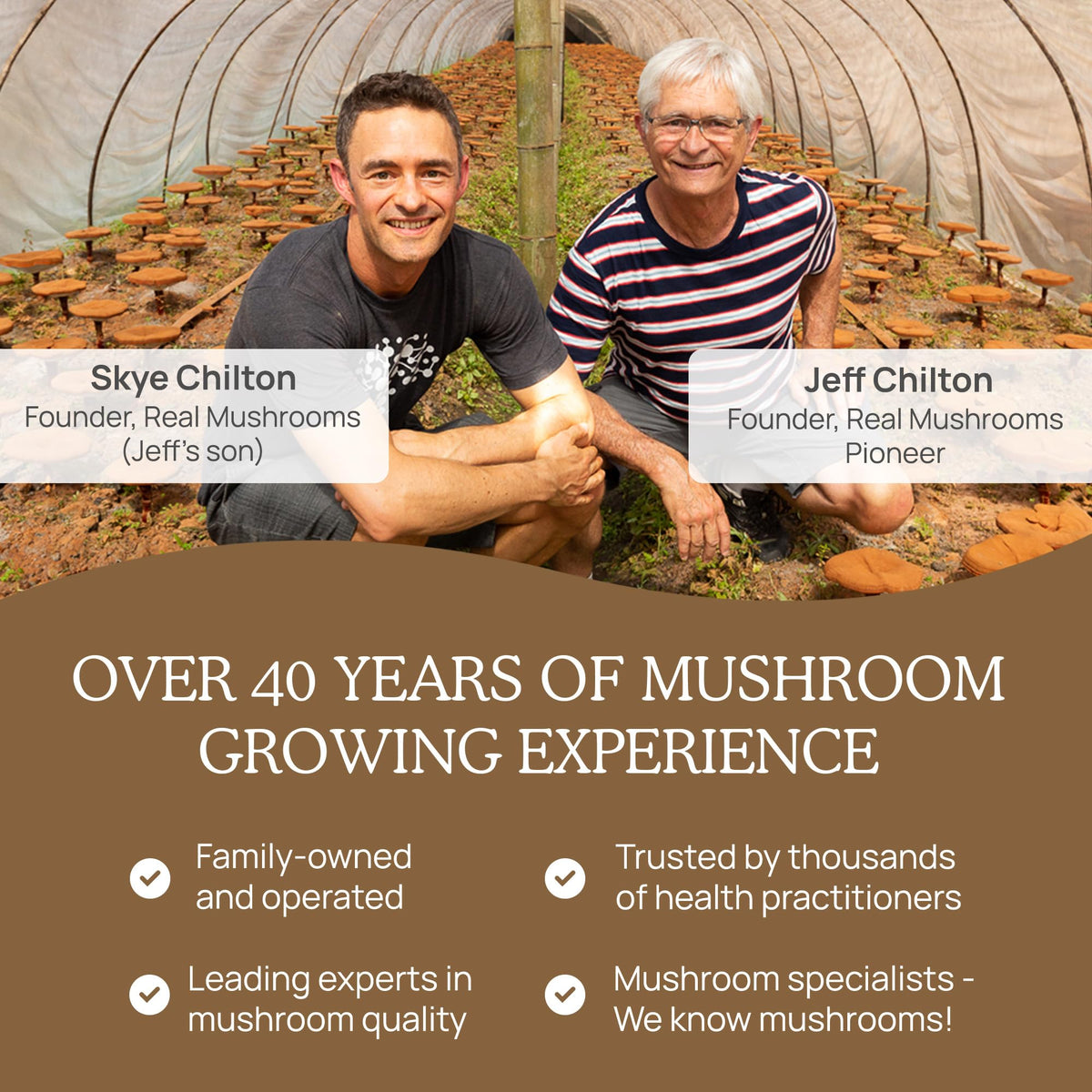 Real Mushrooms Lion’s Mane Powder - Organic Lions Mane Mushroom Extract