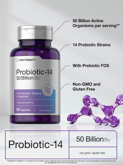 Horbäach Probiotics with Prebiotics | 60 Capsules | 50 Billion Active Organisms | Non-GMO