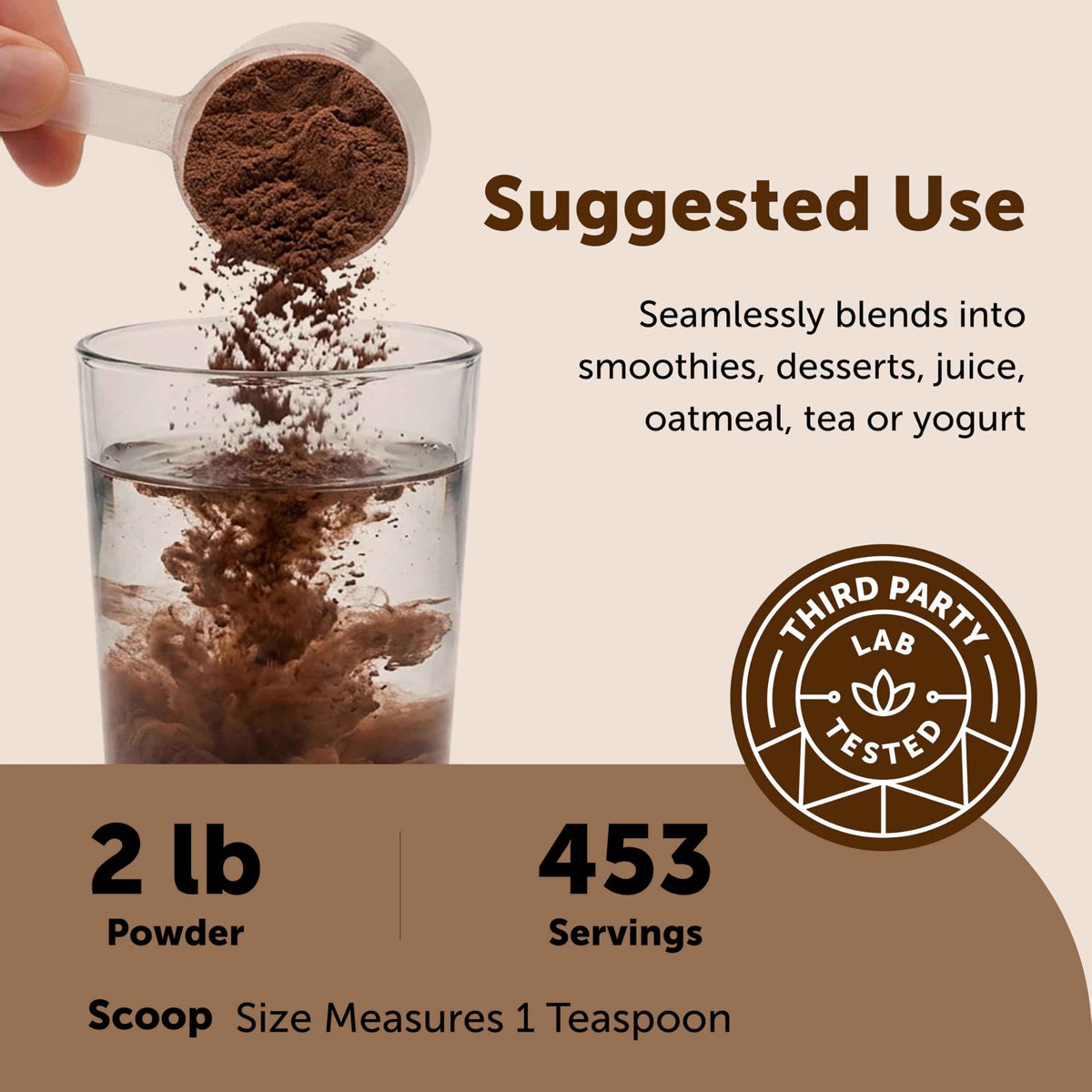 Micro Ingredients Organic Ceylon Cinnamon Powder, 8 oz - Sri Lanka Source - True Cinnamon for Spice & Seasoning - Great for Baking, Cooking, & Drinks - Additive Free, Non-GMO