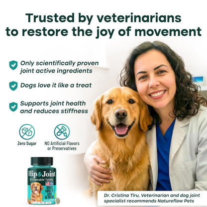 Natureflow Hip & Joint Supplement for Dogs, 300mg Green-Lipped Mussel for Dog Arthritis Pain Relief, Glucosamine, MSM & Chondroitin, Zero Sugar, Large Medium Small Breeds, 50 Chewable Tablets