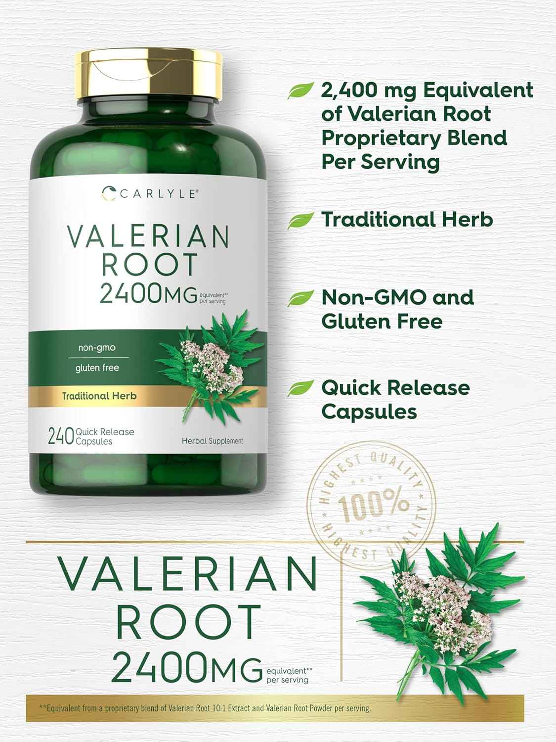 Carlyle Valerian Root Extract Supplement - 240 Capsules - Traditional Herbal Formula - Non-GMO & Gluten Free